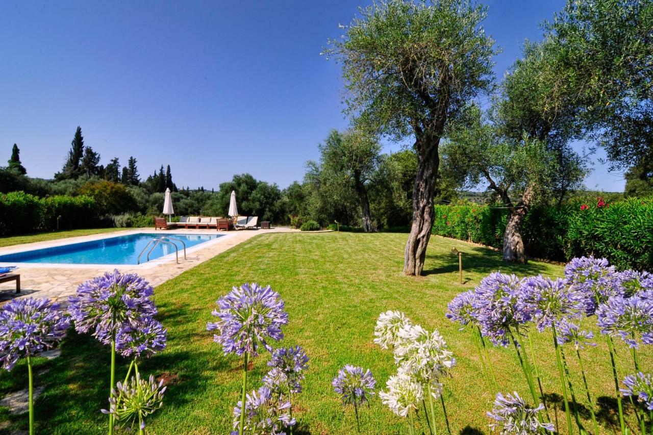 Stone Rose Villa Ágios Ioánnis Extérieur photo